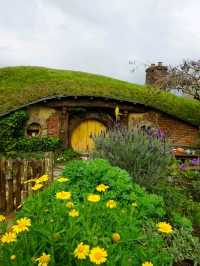 📽ตามรอยหนัง The Lord of the Rings @Hobbiton