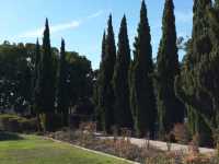 🌳 샌디에이고의 문화와 자연이 공존하는 곳, 발보아 파크 (Balboa Park)