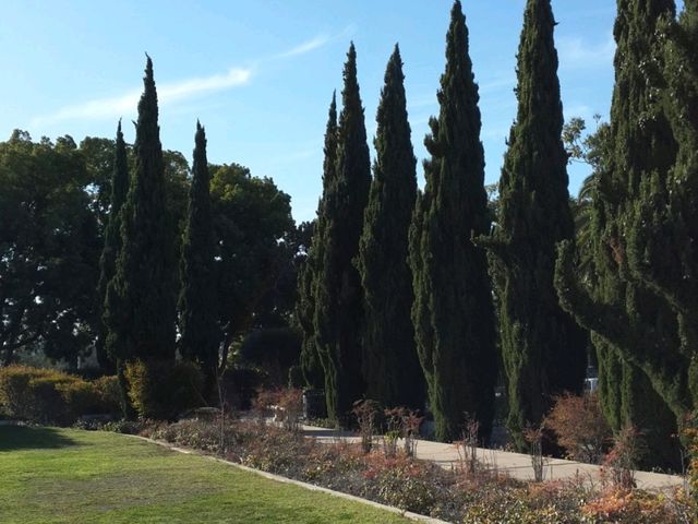 🌳 샌디에이고의 문화와 자연이 공존하는 곳, 발보아 파크 (Balboa Park)