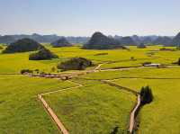 Luoping - Sea of Rapeseed Flowers in Yunnan.