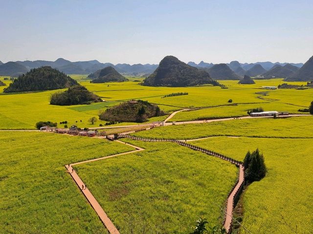 Luoping - Sea of Rapeseed Flowers in Yunnan. Luoping - Sea of Rapeseed Flowers in Yunnan.