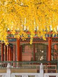 Zhongshan Park in Autumn: A Golden Imperial Oasis