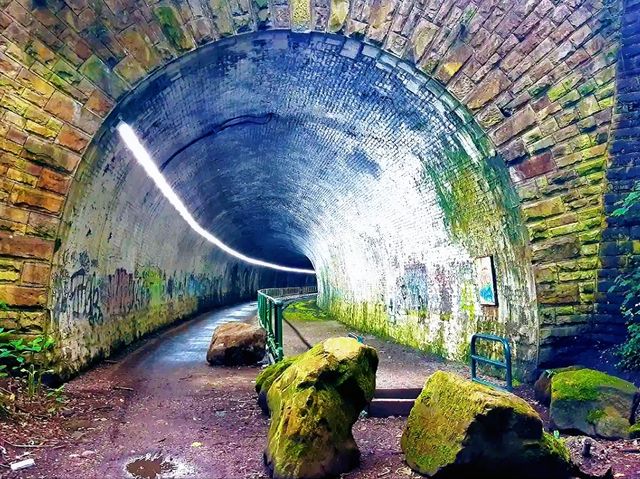 Reddish Vale Country Park – Nature on the Edge of the City Reddish Vale Country Park – Nature on the Edge of the City