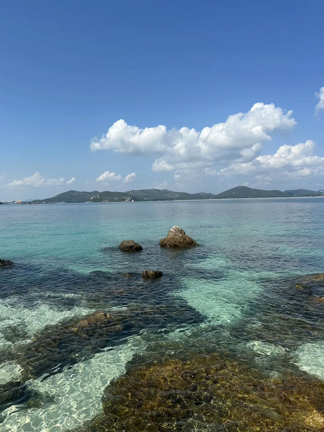 Koh kham🌊🪸✨ Koh kham🌊🪸✨