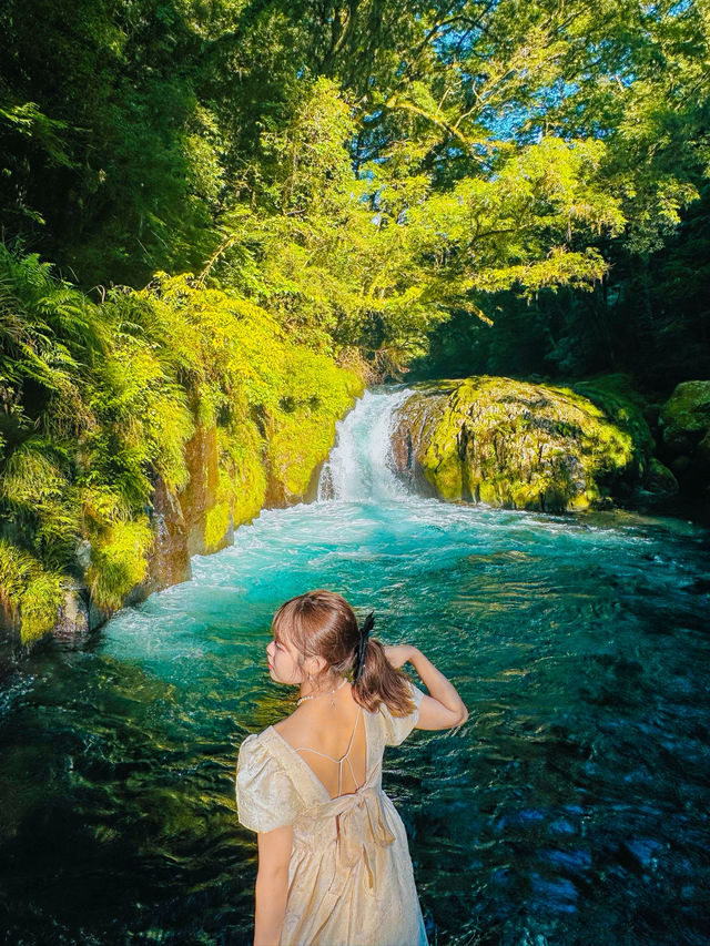 熊本県(aso) 熊本県(aso)