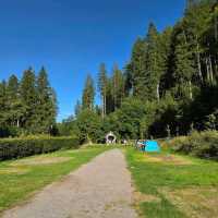 Lake Titisee – Germany (Black Forest)