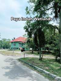 Paya Indah Discovery Wetlands: A Natural Escape with Wildlife Wonders