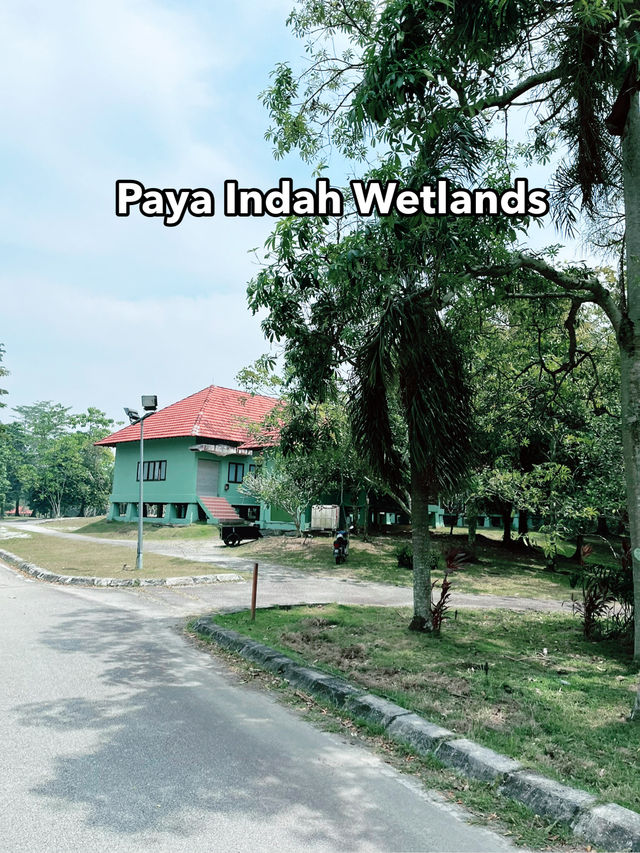 Paya Indah Discovery Wetlands: A Natural Escape with Wildlife Wonders