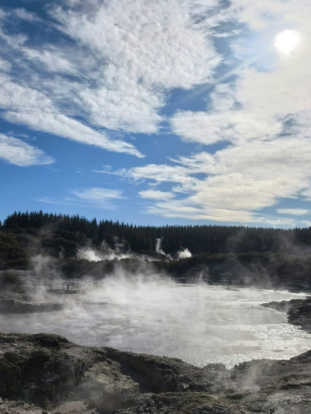 Hell’s Gate – Geothermal Wonder and Cultural Experience in New Zealand
