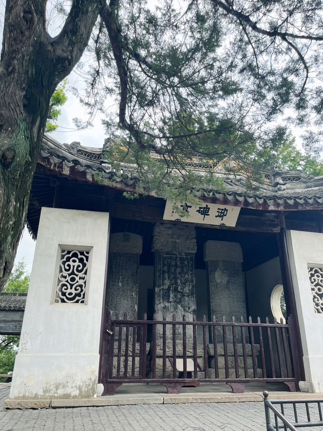 【蘇州虎丘】登上「吳中第一名勝」