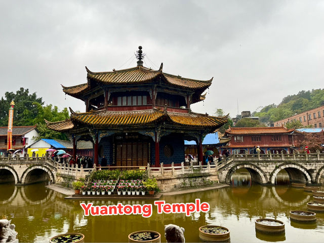 ย้อนรอยศรัทธา…เยือนวัดหยวนทง (Yuantong Temple)  ย้อนรอยศรัทธา…เยือนวัดหยวนทง (Yuantong Temple)