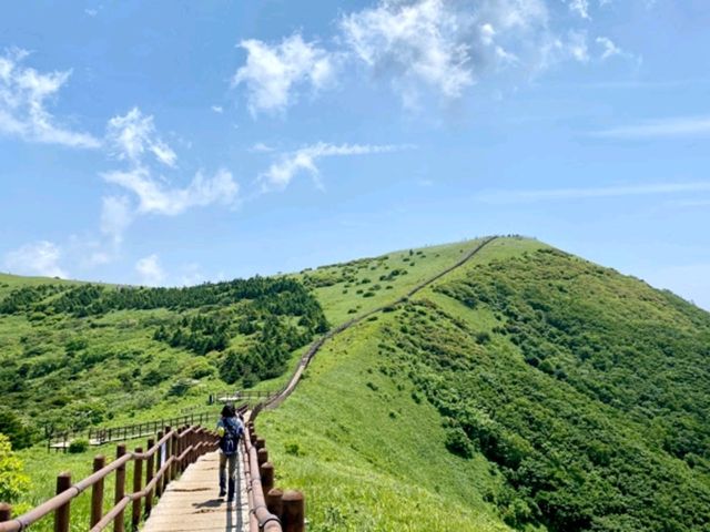 소백산 – 철쭉의 천국
