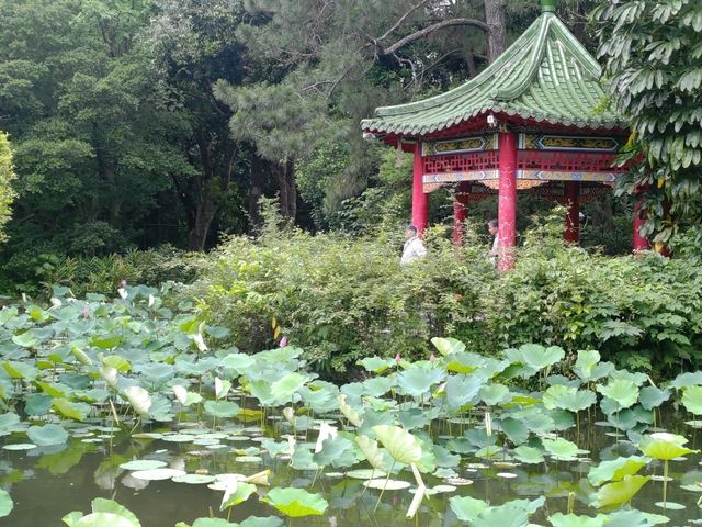 台北都市綠洲--「台北植物園」! 台北都市綠洲--「台北植物園」!