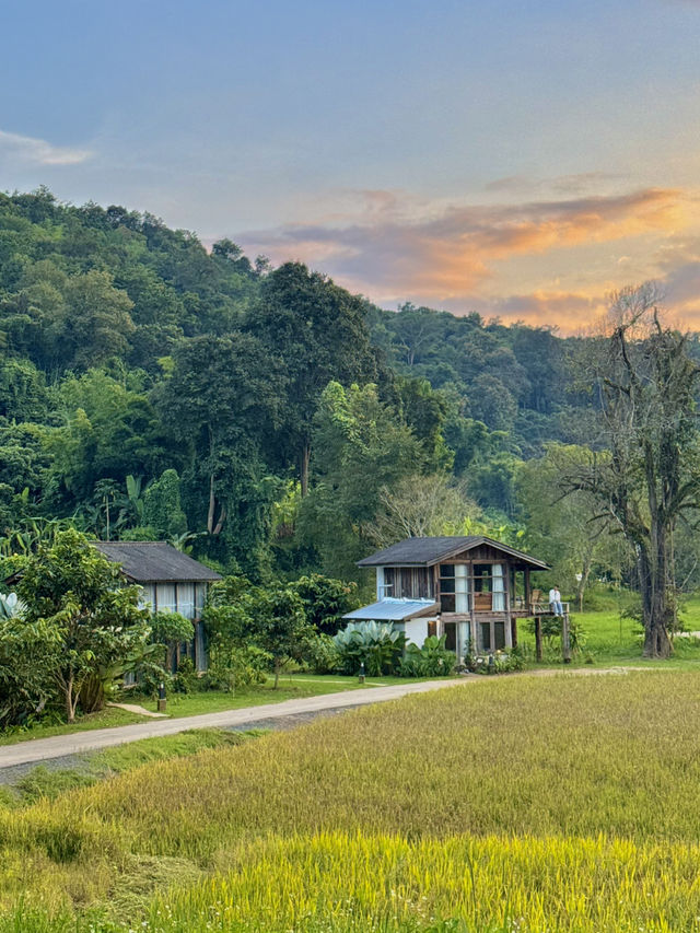 เนินแจ่มใส ที่พักที่โอบกอดด้วยภูเขา 🌸🍃