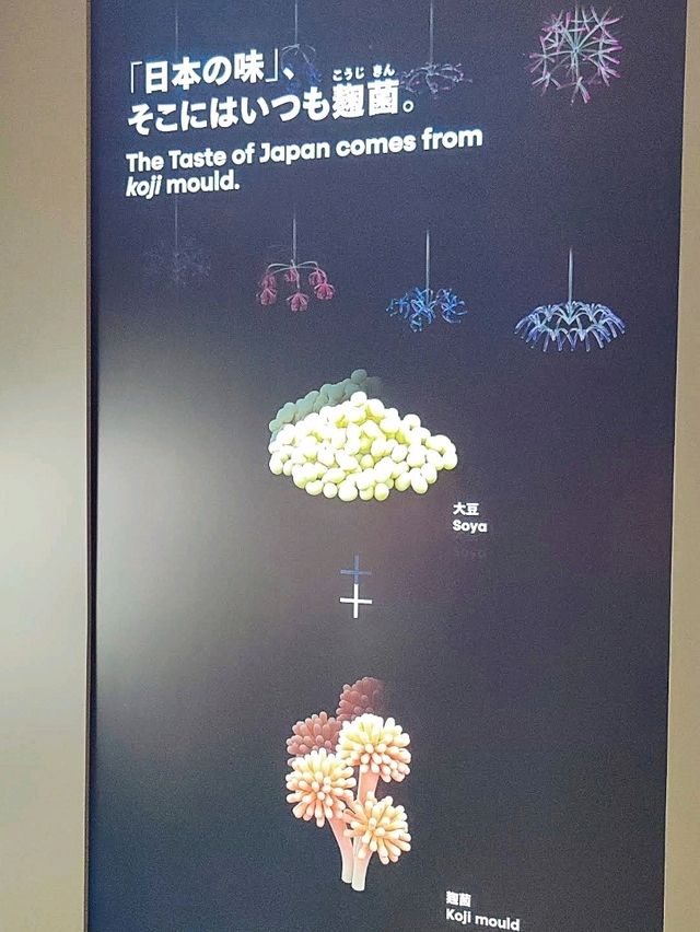 去大阪Expo無理由唔去日本館
