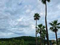 ๐๏ธ Jeju Island โ Koreaโs Island of Wonders