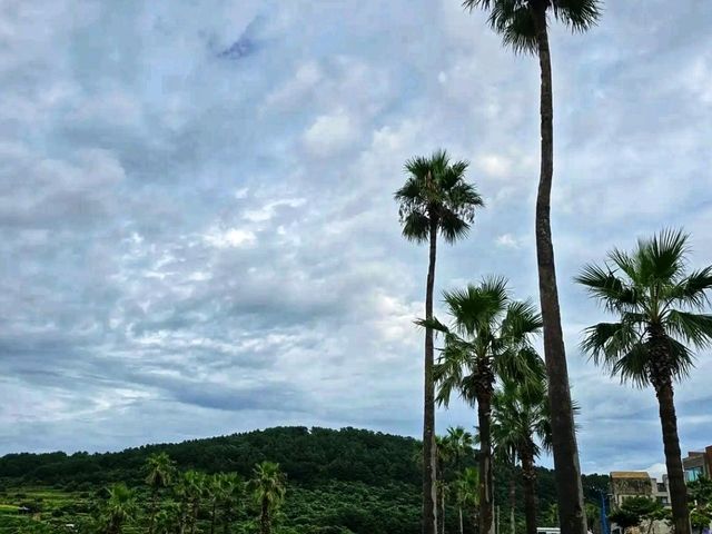 ๐๏ธ Jeju Island โ Koreaโs Island of Wonders ๐๏ธ Jeju Island โ Koreaโs Island of Wonders