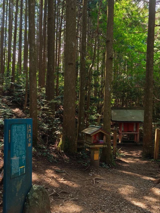 ✨熊野古道中邊路徒步之旅 ✨熊野古道中邊路徒步之旅