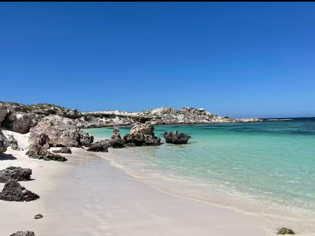 Quokkas, Beaches, and Pure Island Bliss at Rottnest