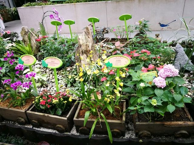 香港城市綠洲賞花之旅🌸香港動植物公園