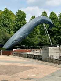 NATIONAL MUSEUM OF NATURE AND SCIENCE.