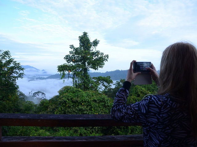 Danum Valley Conservation Area - Malaysia 