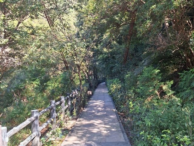 谷關捎來步道