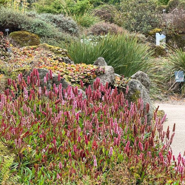 Royal Botanic Garden Edinburgh