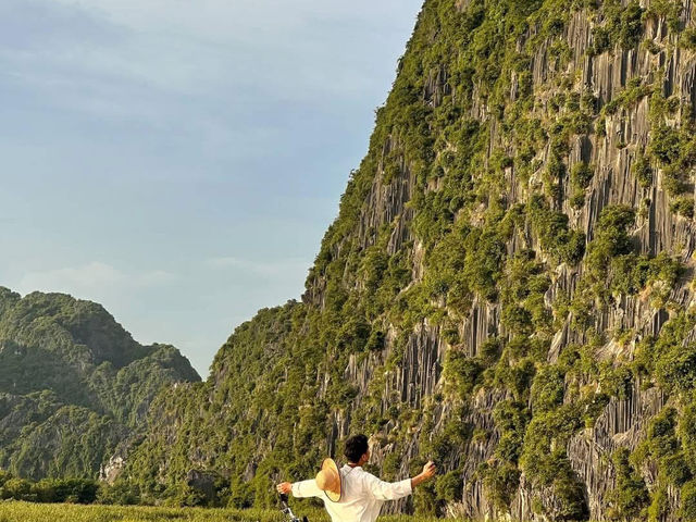 🌿 Van Long Wetland Nature Reserve – The “Hidden Bay” of Ninh Binh 🌿