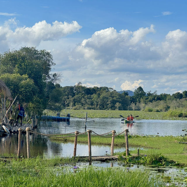 สวนพฤกษศาสตร์ระยอง 🏞️