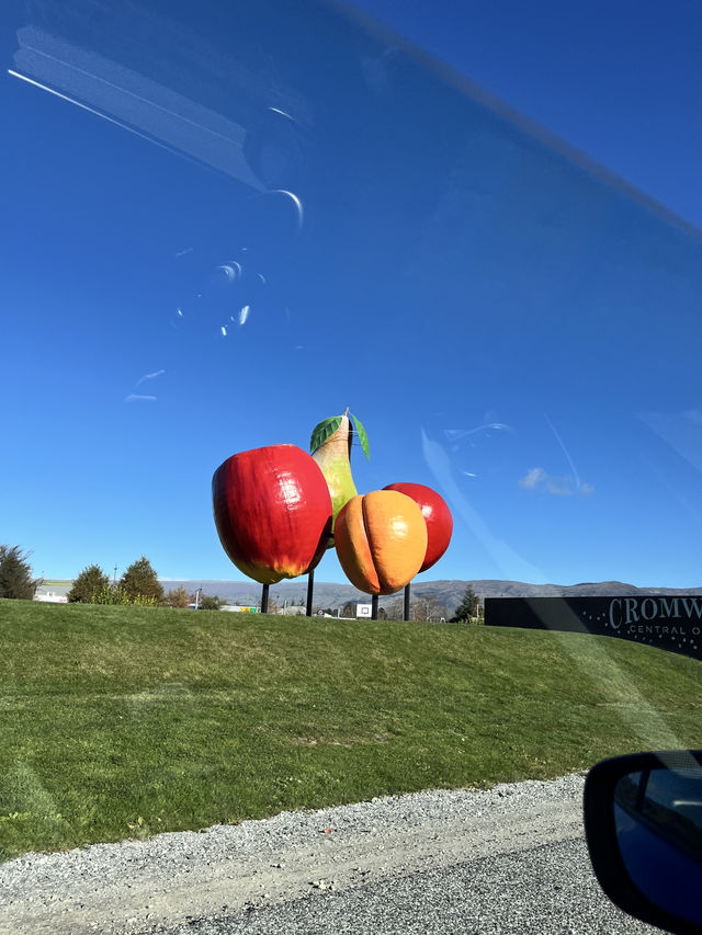 坐纜車上Skyline俯瞰美景  