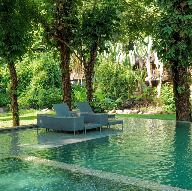 🌳🌱Flora Creek Chiang Mai ที่พักกลางขุนเขา