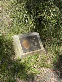 🌳 探訪「總理森林步道Prime Ministers’ Walk」：城市中的森林漫遊