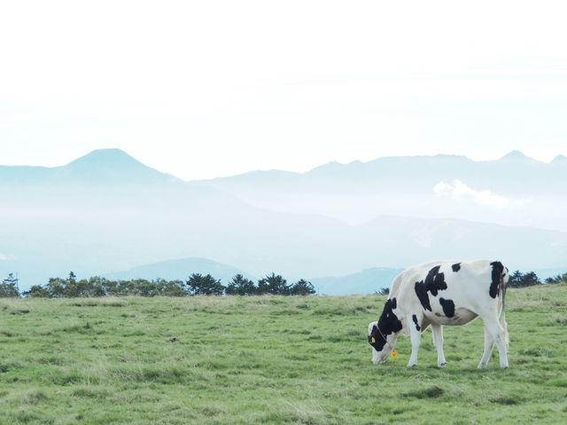 【長野県】気軽に楽しめる日本百名山・美ヶ原