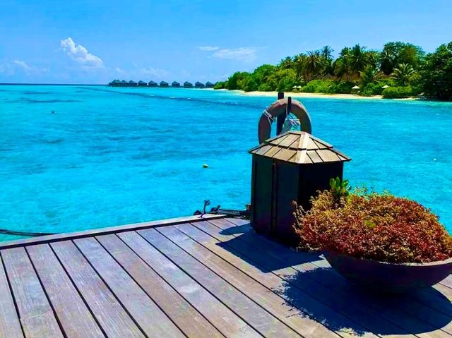 Kuredu Island Resort & Spa – Fun and Relaxation for Everyone Kuredu Island Resort & Spa – Fun and Relaxation for Everyone