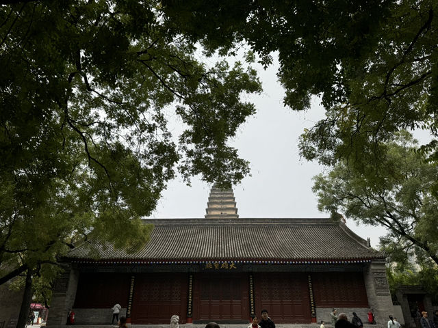 西安兵馬俑展遊玩攻略🌧   西安兵馬俑展遊玩攻略🌧