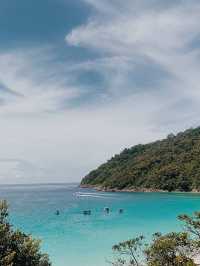 Nature Splash Dive🌊