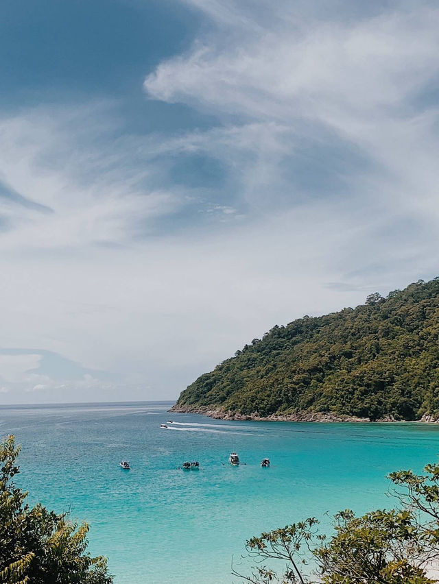 Nature Splash Dive🌊 Nature Splash Dive🌊