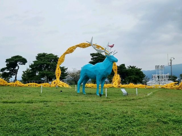 날씨 선선할 때 피크닉, 산책하기 좋은 대구 "강정보디아크"