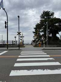 日本富山縣高岡市