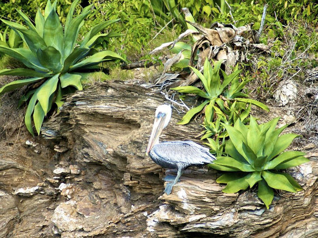 Chacachacare Island - Uninhabited Island