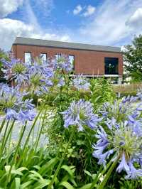 🌸 Ishibashi Cultural Center — A Garden of Art, Music, and Flowers in Kurume