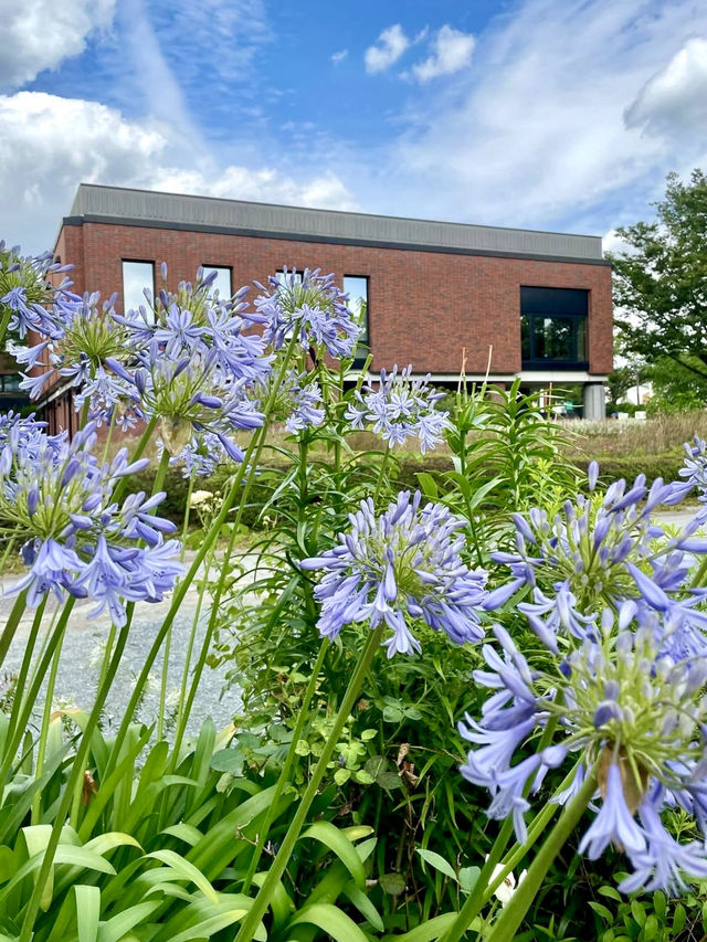 🌸 Ishibashi Cultural Center — A Garden of Art, Music, and Flowers in Kurume