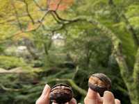 🌸大阪3日間の小旅行🌸