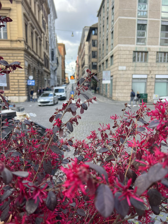 🇮🇹🍕Рим весной — холодрыга или кайф?