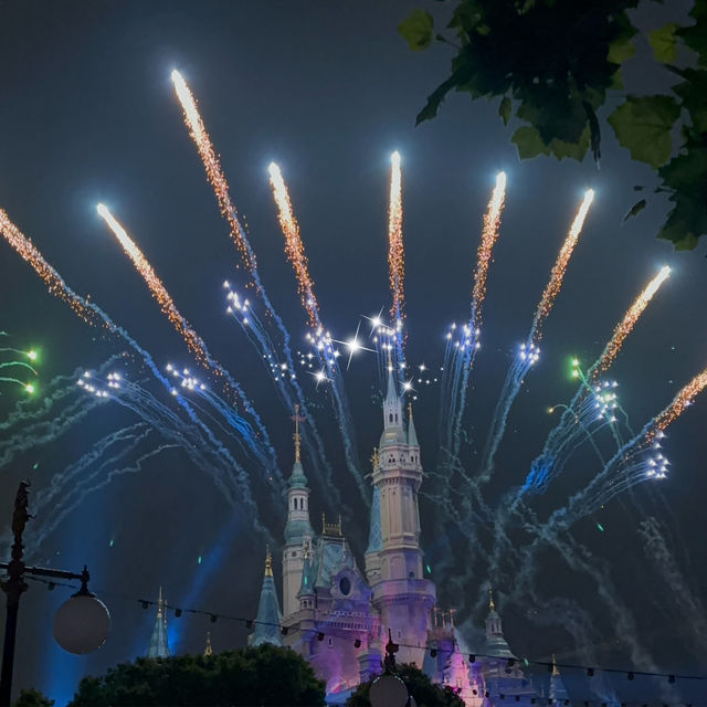 [🇨🇳 Shanghai]🐭🌸Disneyland – Magic After Dark