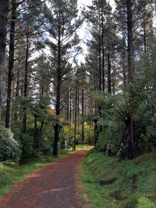 ทะเลสาบแมงกามาโฮ: การหลีกหนีอันเงียบสงบในนิวซีแลนด์