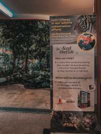 A Heartwarming Encounter with Nature – Feed the Fish @ 1 Utama Wildlife Conservation Efforts