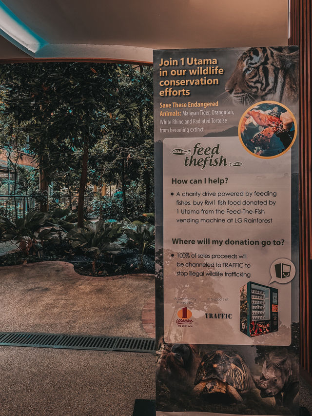 A Heartwarming Encounter with Nature – Feed the Fish @ 1 Utama Wildlife Conservation Efforts A Heartwarming Encounter with Nature – Feed the Fish @ 1 Utama Wildlife Conservation Efforts