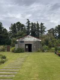 Fall Doorscape Magic🍂